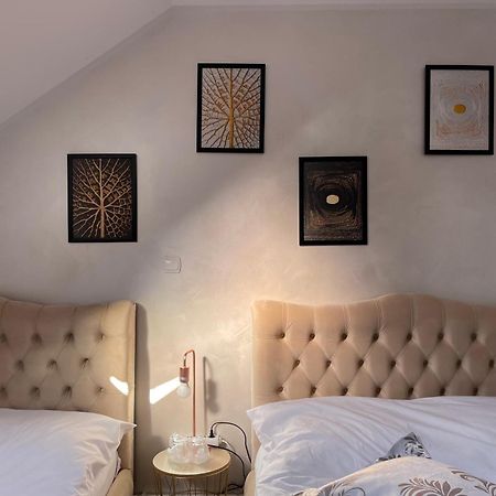 Casa Cu Pitici Guest House Вама Екстериор снимка