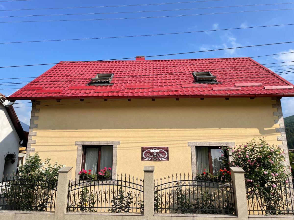 Casa Cu Pitici Guest House Вама Екстериор снимка