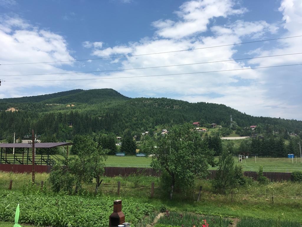 Casa Cu Pitici Guest House Вама Екстериор снимка