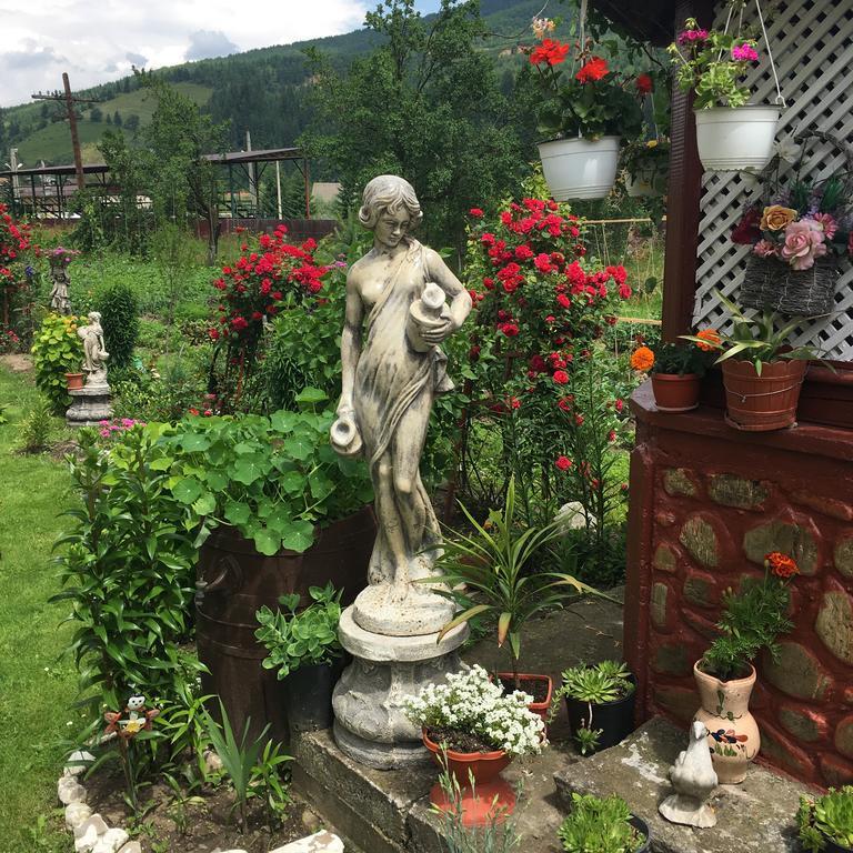 Casa Cu Pitici Guest House Вама Екстериор снимка