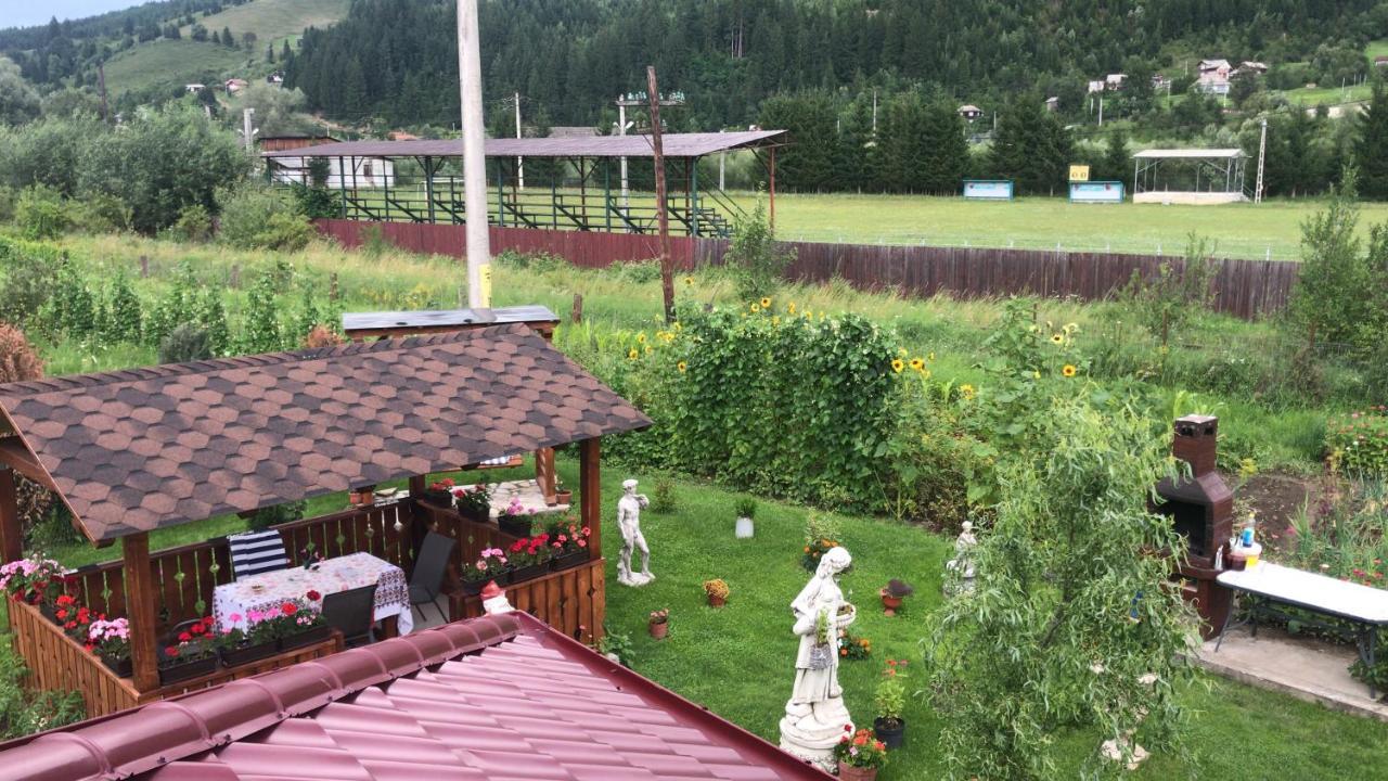 Casa Cu Pitici Guest House Вама Екстериор снимка