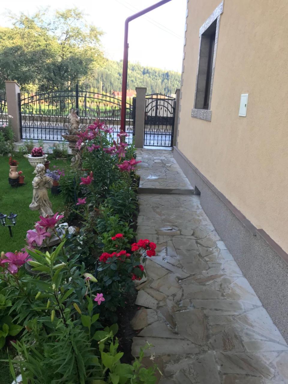 Casa Cu Pitici Guest House Вама Екстериор снимка