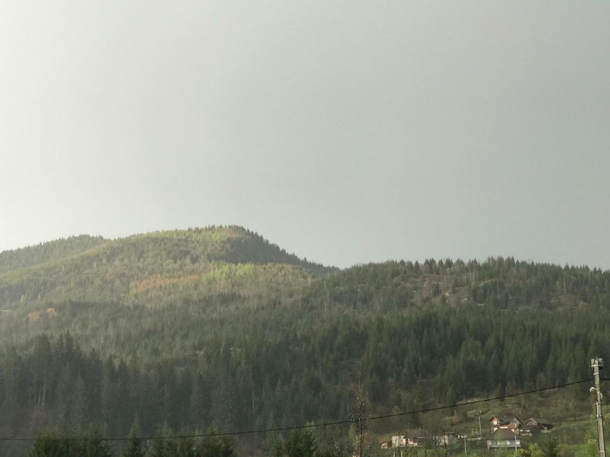 Casa Cu Pitici Guest House Вама Екстериор снимка