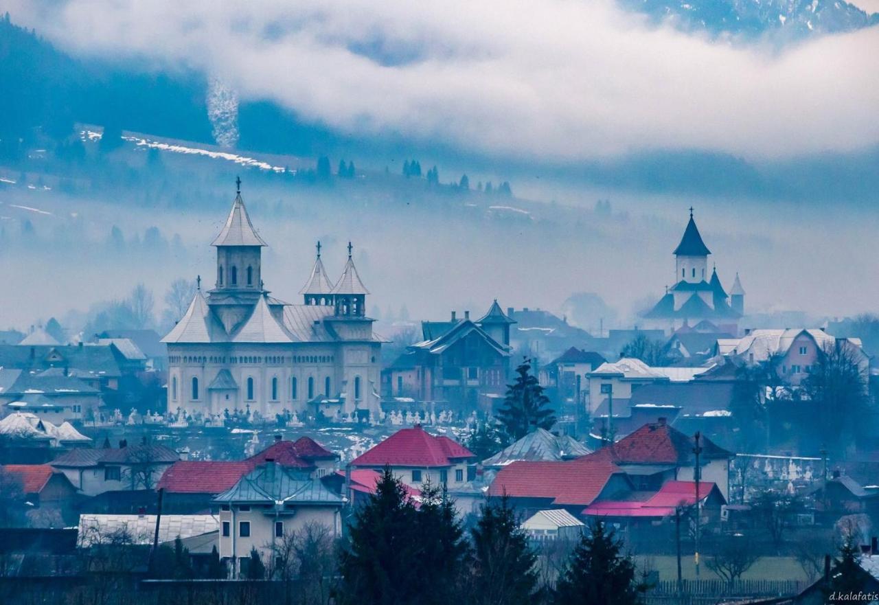 Casa Cu Pitici Guest House Вама Стая снимка